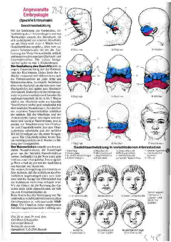 Vorschauseite 1: Angewandete Embryologie Spezielle Embryologie - Gesichtsentwicklung