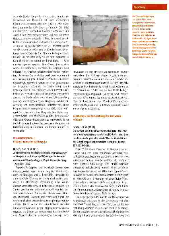 Vorschauseite 2: Literaturrecherche zu Therapieoptionen bei chronischen Wunden