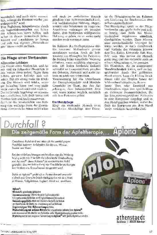 Vorschauseite 3: Die ambulante Pflege Sterbender