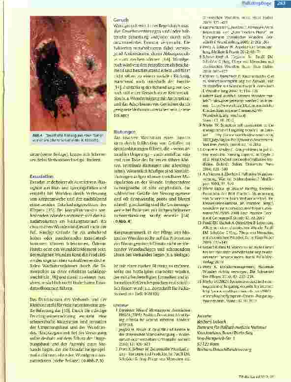 Vorschauseite 4: Wundversorgung in der Palliative Care (Teil 2)