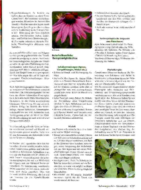 Vorschauseite 2: Aromatisches zum Aufatmen