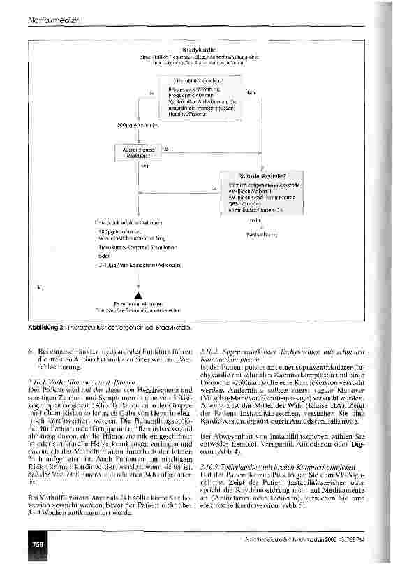 Vorschauseite 4: Erweiterte lebensrettende Maßnahmen beim Erwachsenen Leitlinien des European Resuscitation Council 2000