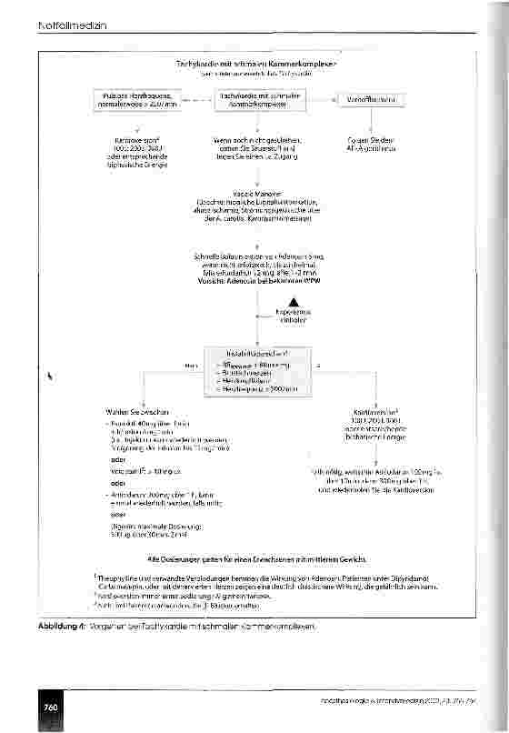 Vorschauseite 6: Erweiterte lebensrettende Maßnahmen beim Erwachsenen Leitlinien des European Resuscitation Council 2000
