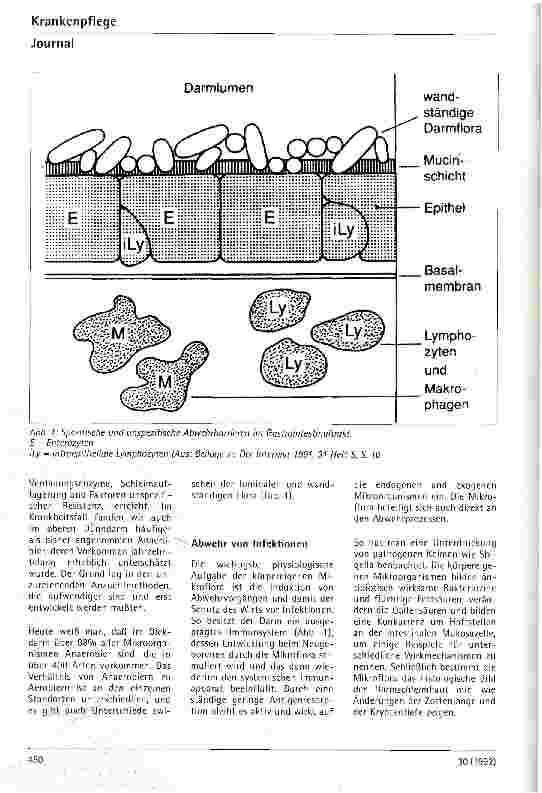 Vorschauseite 2: Physiologische Bedeutung der Mikroflora des Magen-Darm-Kanals