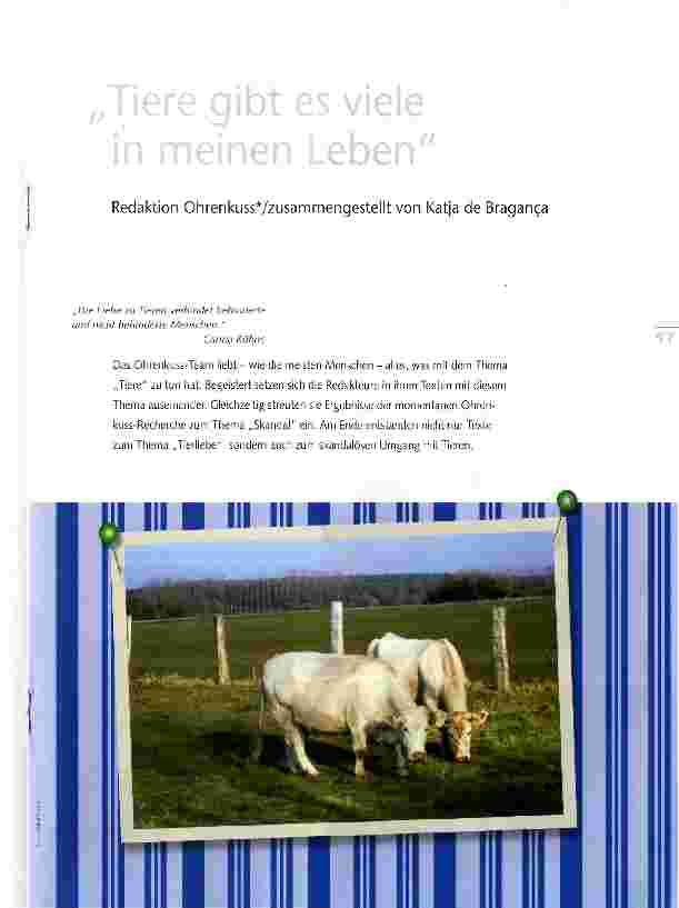 Vorschauseite 1: Tiere gibt es viele in meinem Leben