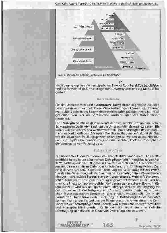 Vorschauseite 5: Systemdynamische Organisationsentwicklung in der Pflege durch die strategische Umsetzung theoriebasierter Pflegediagnostik