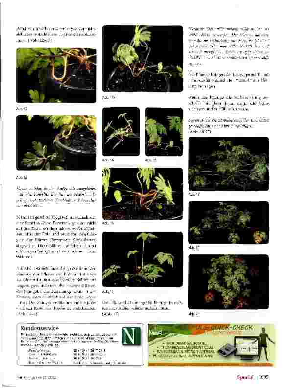 Vorschauseite 3: Zur Signatur von Geranium robertianum Storchenschnabel (Ruprechtskraut)