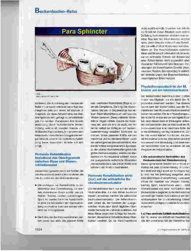 Vorschauseite 3: Perineale Rehabilitation