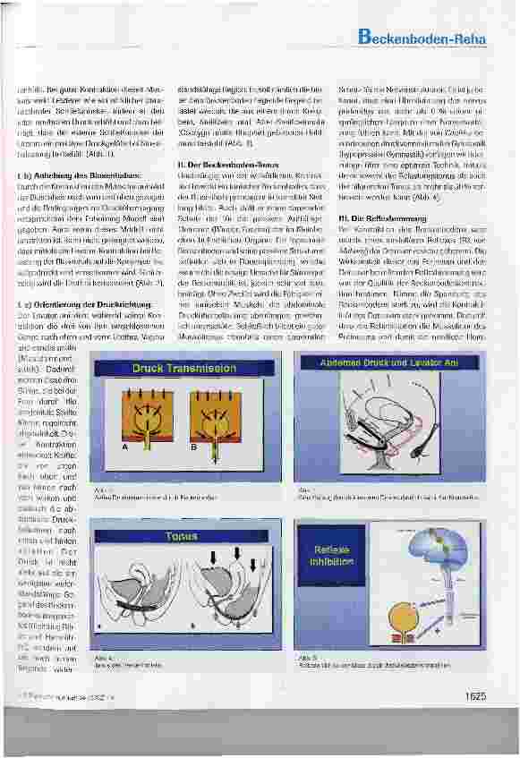 Vorschauseite 4: Perineale Rehabilitation