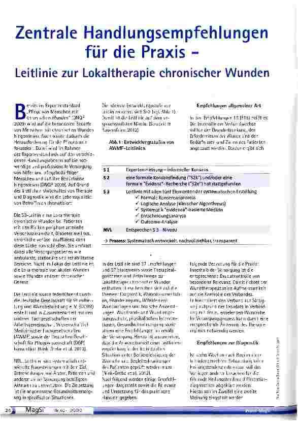 Vorschauseite 1: Zentrale Handlungsempfehlungen für die Praxis - Leitlinie zur Lokaltherapie chronischer Wunden