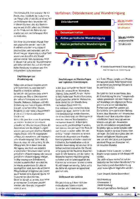 Vorschauseite 2: Zentrale Handlungsempfehlungen für die Praxis - Leitlinie zur Lokaltherapie chronischer Wunden