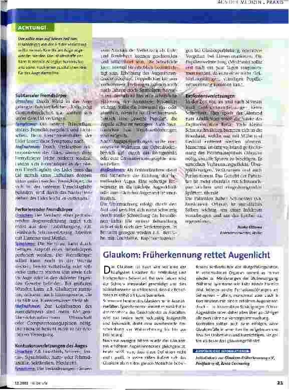 Vorschauseite 2: Augenverletzungen
