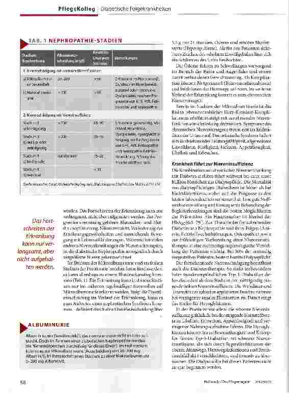 Vorschauseite 2: Diabetische Nephropathie -Nieren in Gefahr