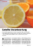 Vorschauseite 1: Corrected: Geteilte Verantwortung