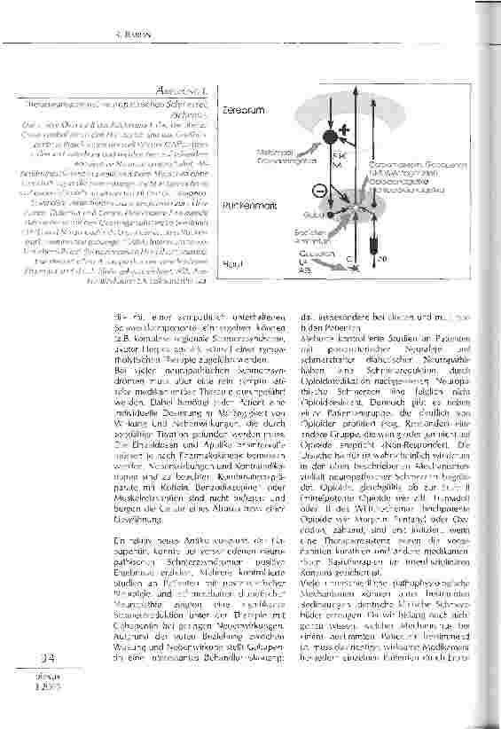 Vorschauseite 2: Neuropathischer Schmerz - klinische und therapeutische Konsequenzen