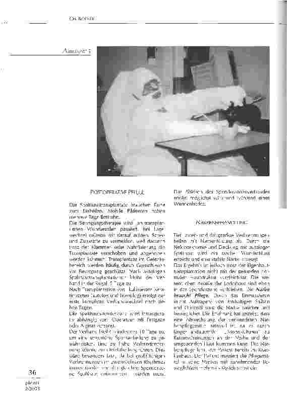 Vorschauseite 5: Pflegeaspekte der Wundversorgung von Schwerbrandverletzten