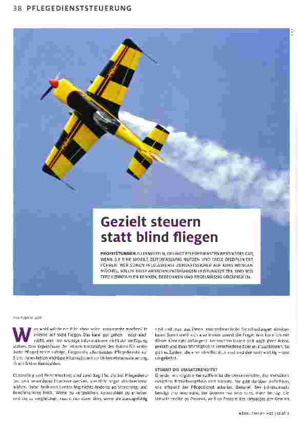 Vorschauseite 1: Gezielt steuern statt blind fliegen