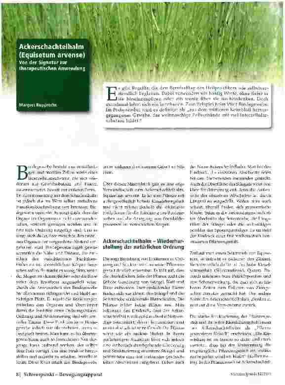 Vorschauseite 1: Ackerschachtelhalm (Equisetum arvense)