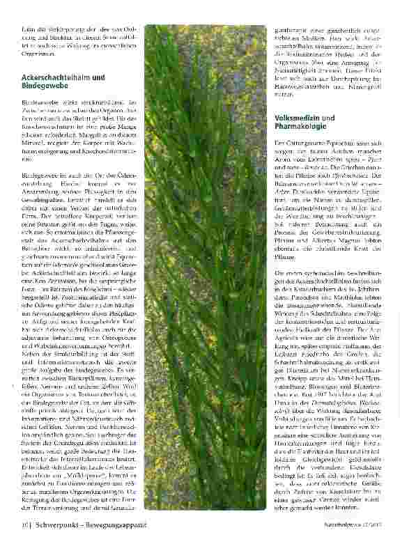 Vorschauseite 2: Ackerschachtelhalm (Equisetum arvense)