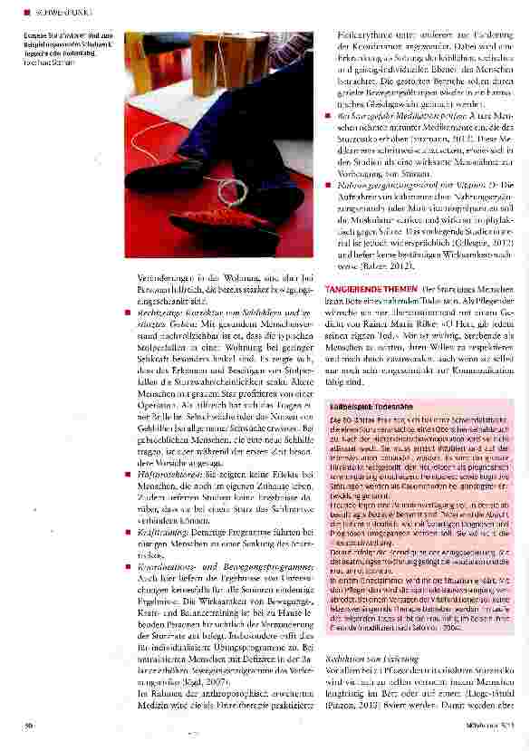 Vorschauseite 3: Schwierig! - Sturzgefahr professionell erkennen und abwehren