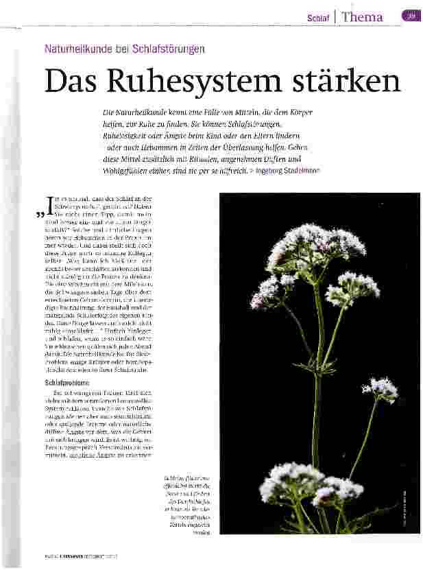 Vorschauseite 1: Das Ruhesystem stärken