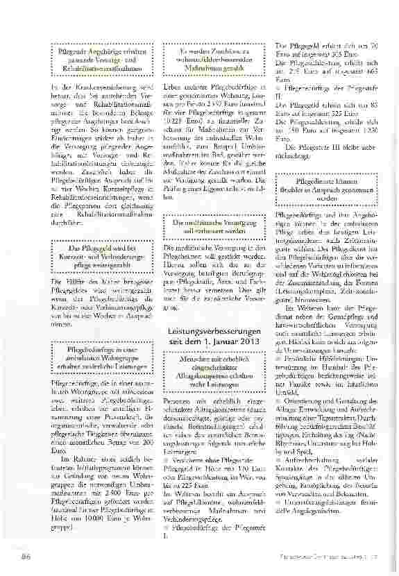 Vorschauseite 3: WAS BRINGT DAS NEUE GESETZ ZUR PFLEGE
