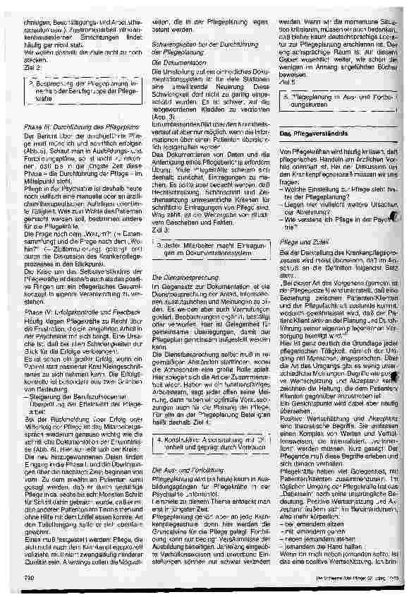 Vorschauseite 3: Pflegeplanung und deren Auswirkungen auf die Pflege in der Psychiatrie