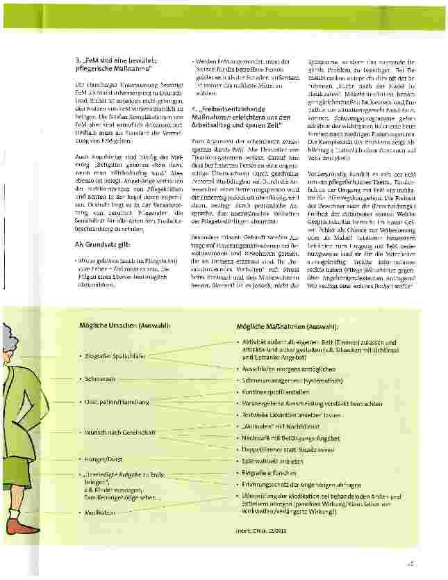 Vorschauseite 4: Warum entscheiden sich Pflegende für die Anwendung freiheitsbeschränkender Maßnahmen?