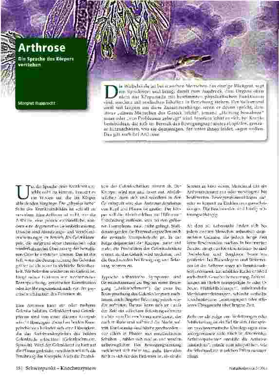 Vorschauseite 1: Arthrose