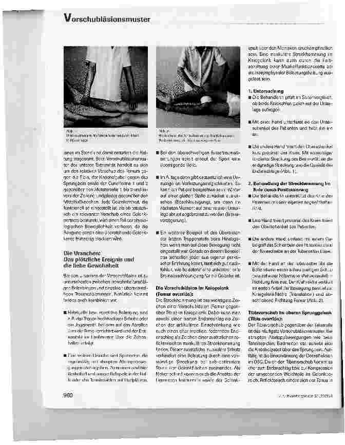Vorschauseite 2: Vorschubläsionsmuster der unteren Extremität und ihre Behandlung