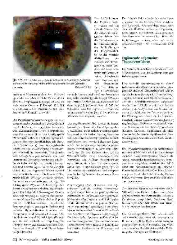 Vorschauseite 4: Erkrankung und Erschöpfung des Nervensystems Augendiagnostische Hinweise und naturheil-kundliche Therapie