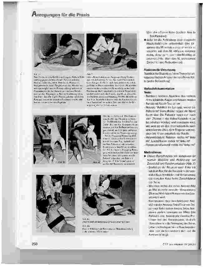 Vorschauseite 3: Behandlung einer Patientin mit Serratus-Anterior-Parese - Einzelfalldokumentation