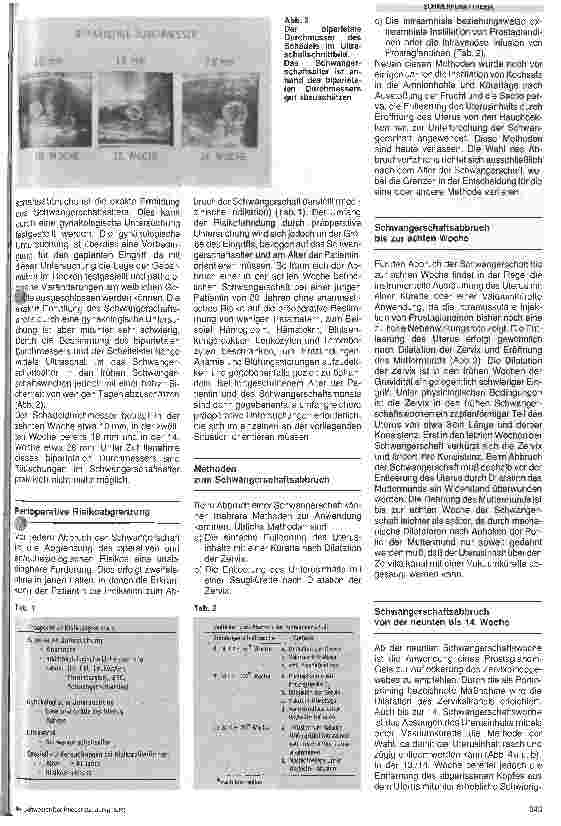 Vorschauseite 2: Methoden und Gefahren des Schwangerschaftsabbruchs