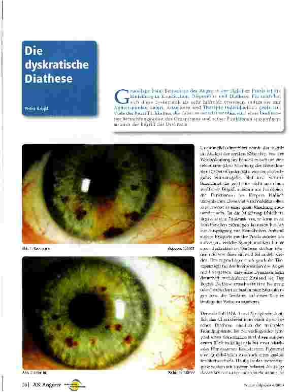 Vorschauseite 1: Die dyskratische Diathese