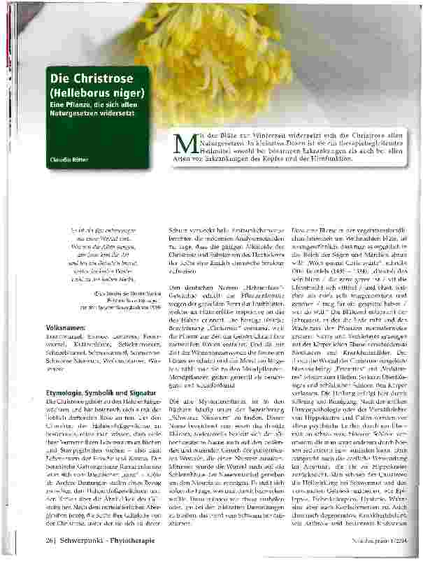 Vorschauseite 1: Christrose (Helleborus niger)