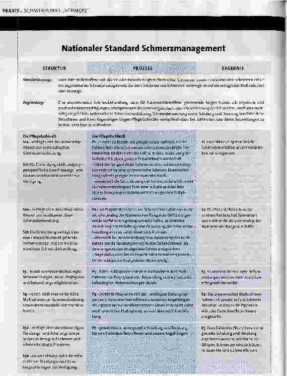 Vorschauseite 3: Nationaler StandardSchmerzmanagement in der Pflege