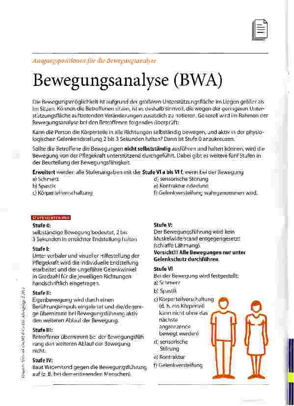 Vorschauseite 3: Interaktiv pflegen