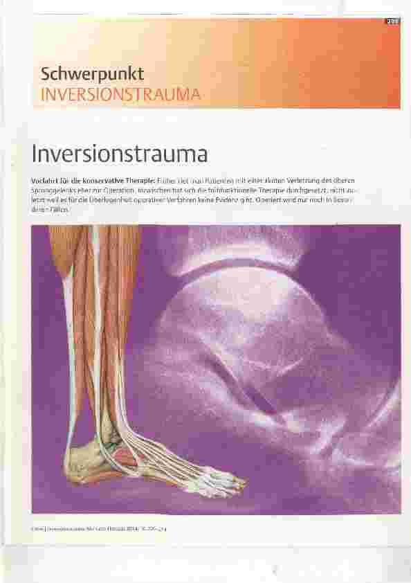 Vorschauseite 1: Inversionstrauma