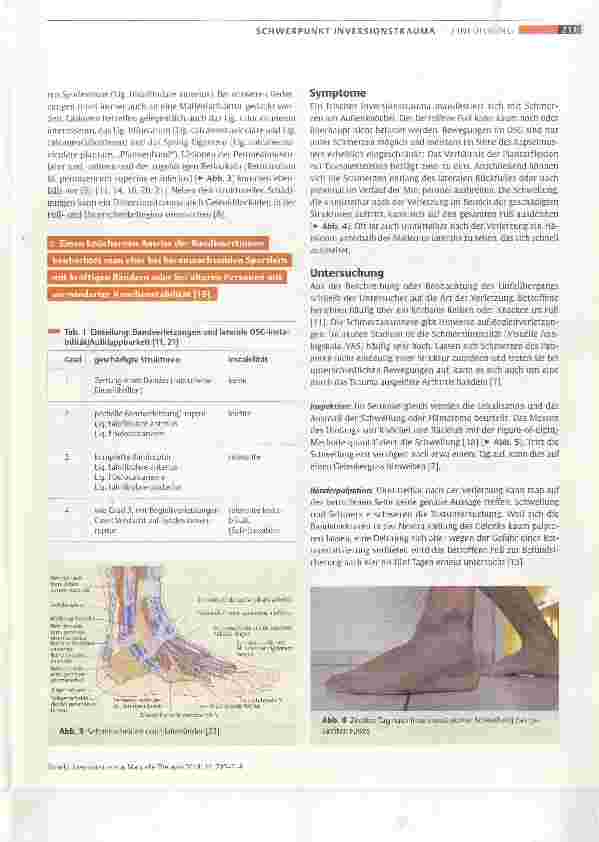 Vorschauseite 3: Inversionstrauma