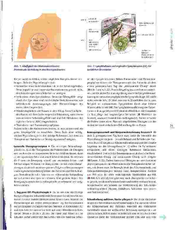 Vorschauseite 2: Postoperative Therapie beim MammakarzinomAn „Marionettenfäden zum Erfolg