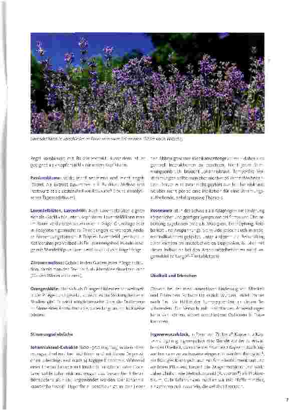 Vorschauseite 2: Phytotherapie in der Palliative Care