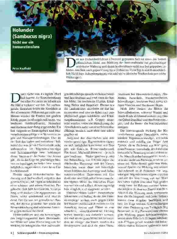 Vorschauseite 1: Holunder (Sambucus nigra)