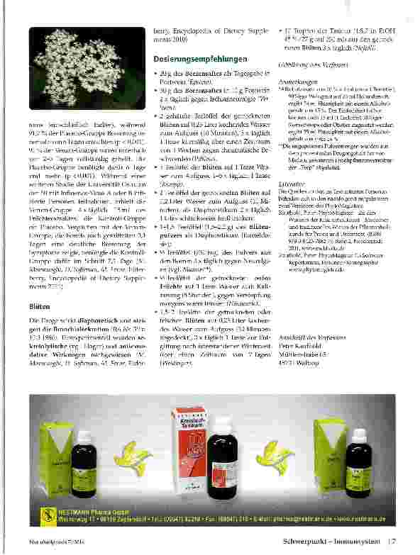 Vorschauseite 4: Holunder (Sambucus nigra)