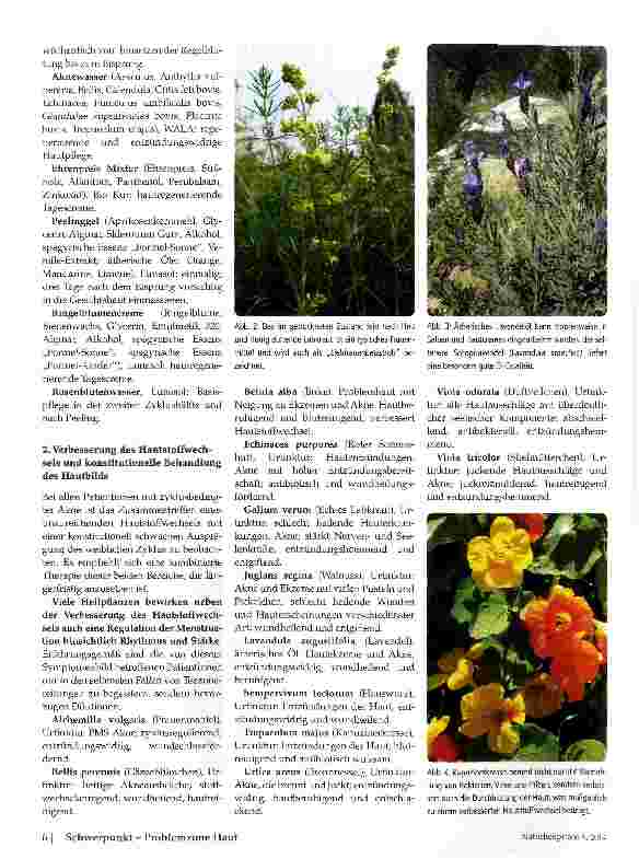 Vorschauseite 3: Zyklusabhängige Akne