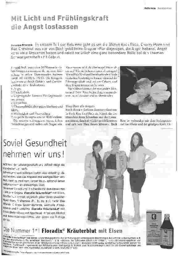 Vorschauseite 1: Mit Licht und Frühlingskraft die Angst loslassen