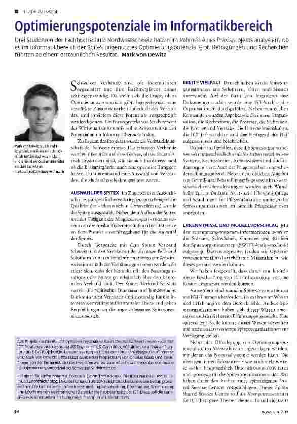 Vorschauseite 1: Optimierungspotenziale im Informatikbereich