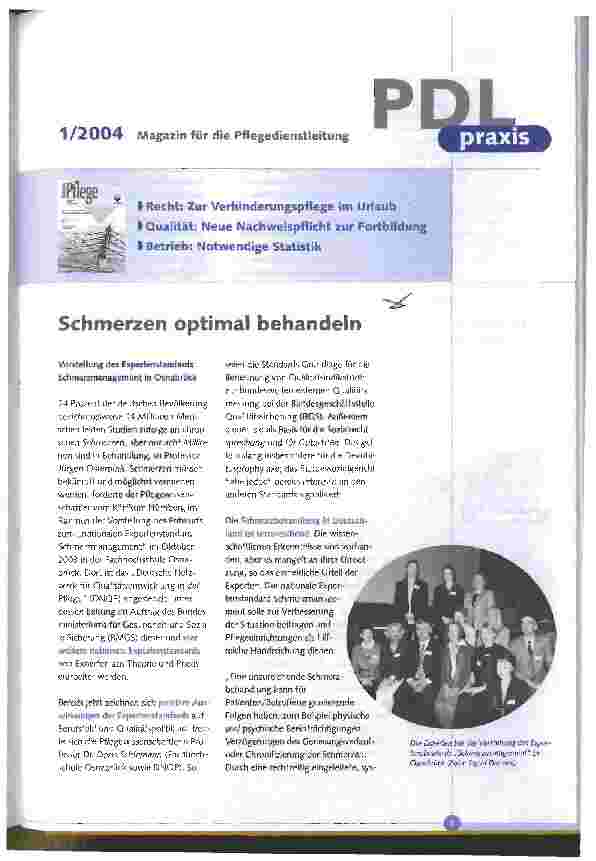 Vorschauseite 1: Schmerzen optimal behandeln
