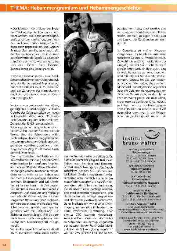 Vorschauseite 3: Essays von Professor Rockenschaub