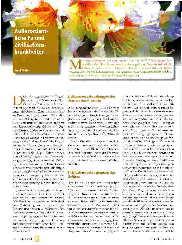 Vorschauseite 1: Außerordentliche Fu und Zivilisationskrankheiten
