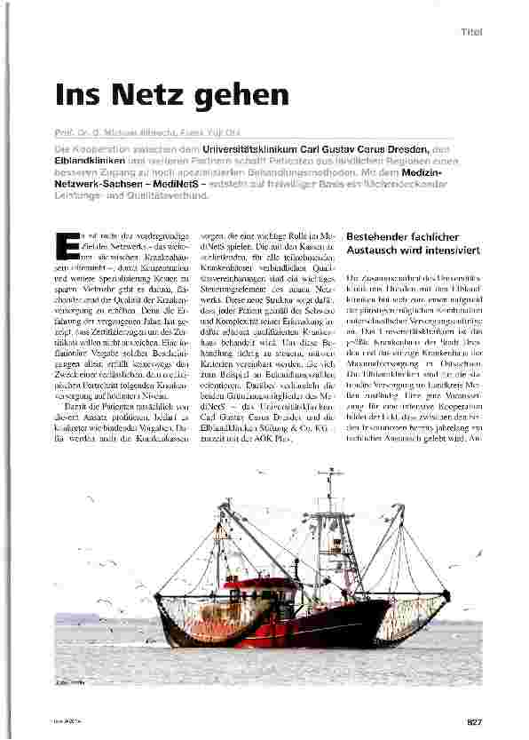 Vorschauseite 1: Ins Netz gehen